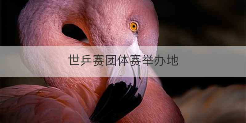 世乒赛团体赛举办地