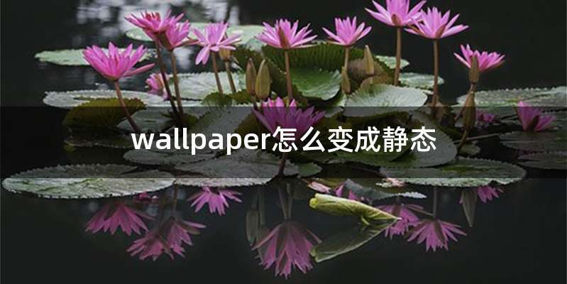 wallpaper怎么变成静态