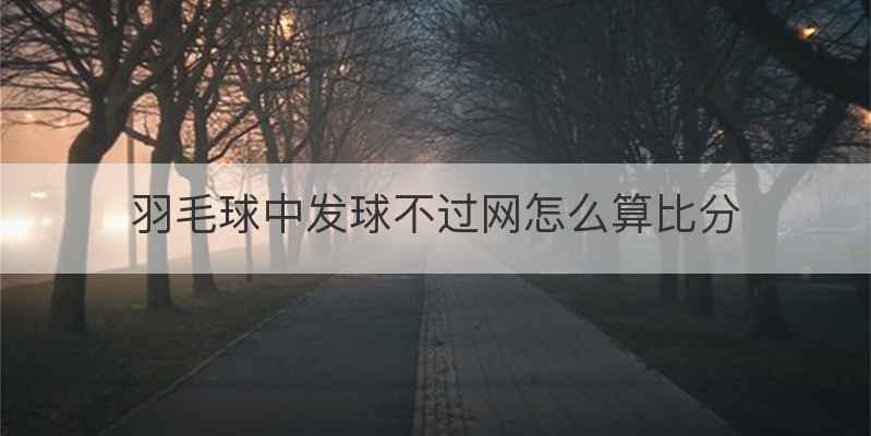 羽毛球中发球不过网怎么算比分