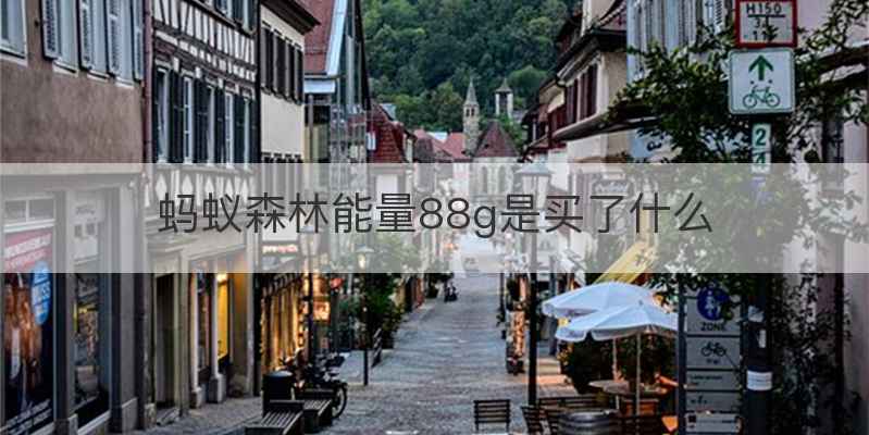蚂蚁森林能量88g是买了什么