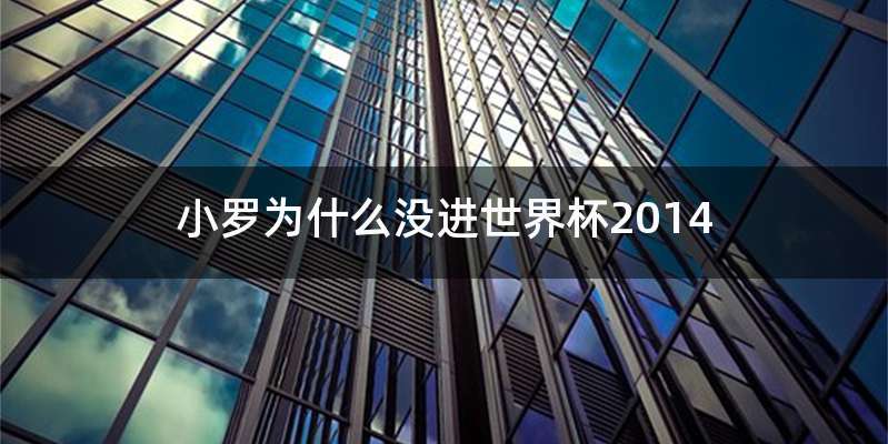 小罗为什么没进世界杯2014