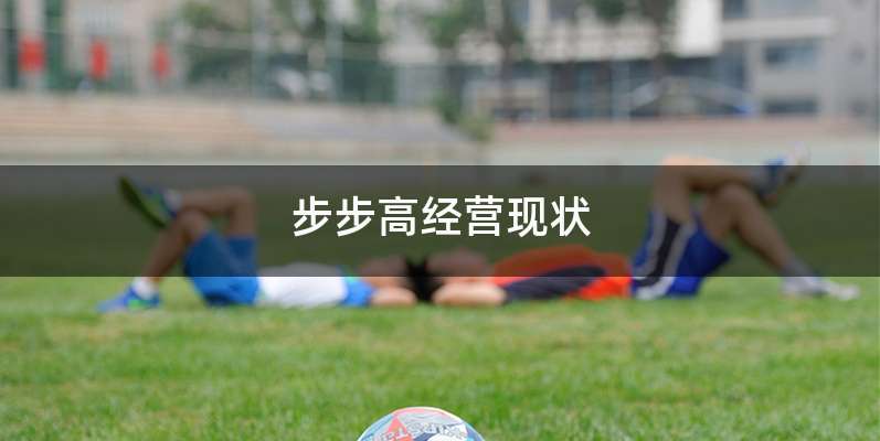 步步高经营现状