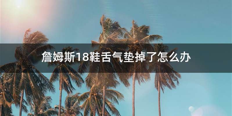 詹姆斯18鞋舌气垫掉了怎么办