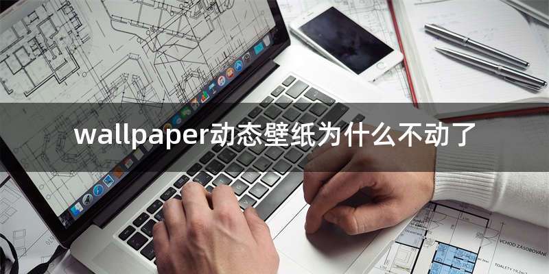 wallpaper动态壁纸为什么不动了