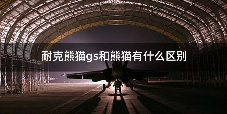 耐克熊猫gs和熊猫有什么区别