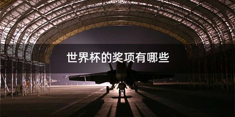 世界杯的奖项有哪些