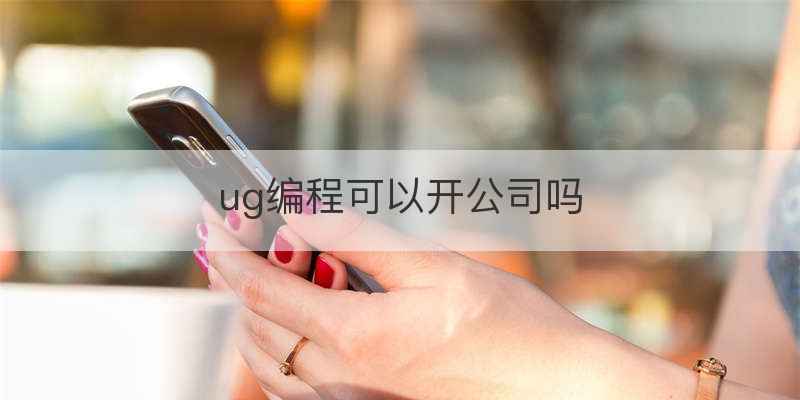 ug编程可以开公司吗