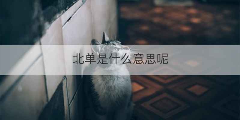 北单是什么意思呢