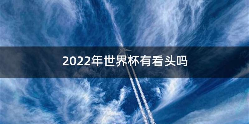 2022年世界杯有看头吗