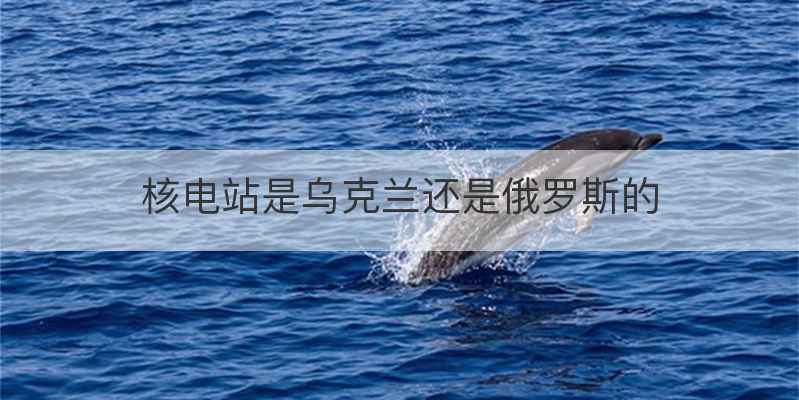 核电站是乌克兰还是俄罗斯的