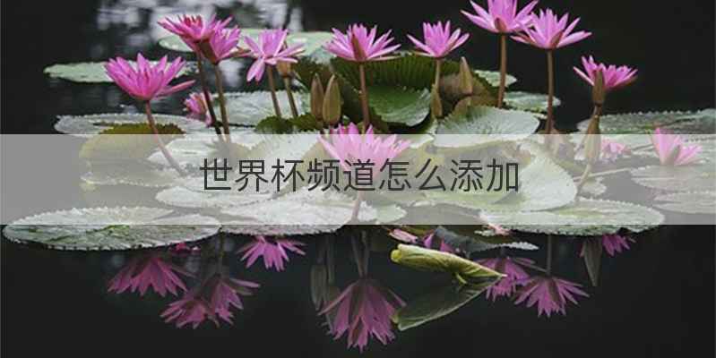 世界杯频道怎么添加