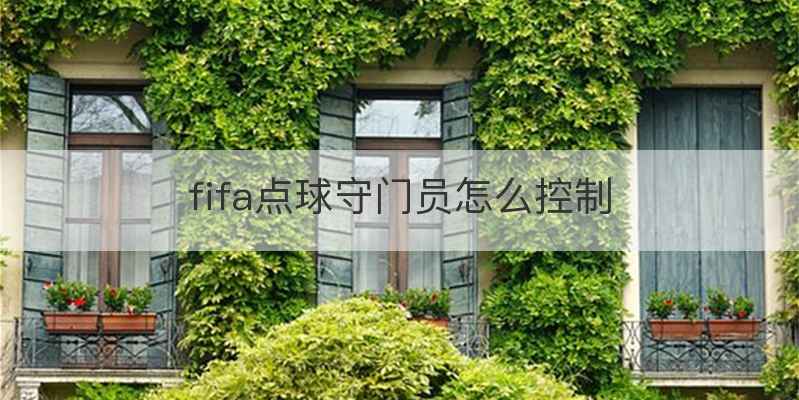 fifa点球守门员怎么控制