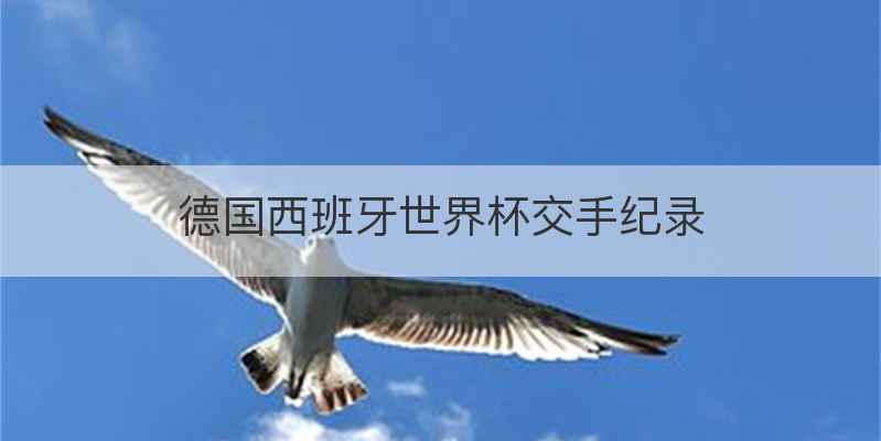 德国西班牙世界杯交手纪录