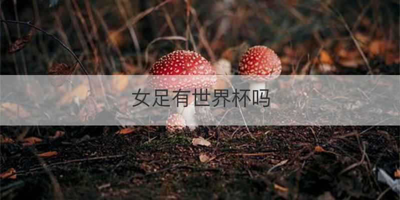 女足有世界杯吗