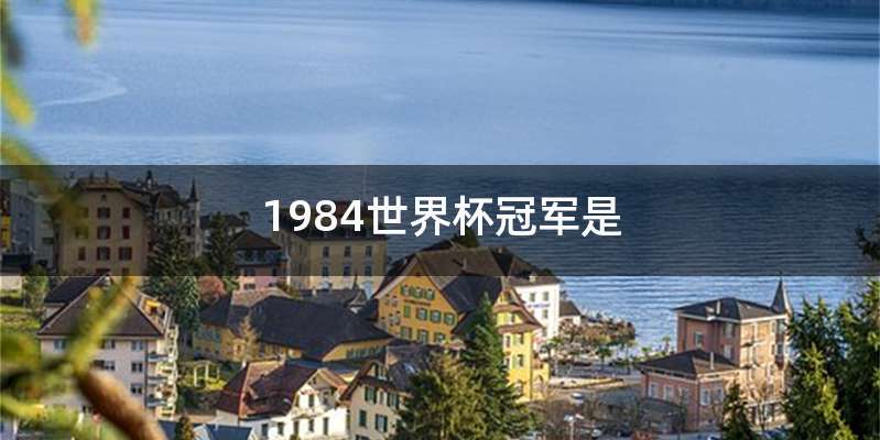 1984世界杯冠军是