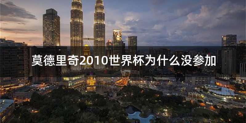 莫德里奇2010世界杯为什么没参加