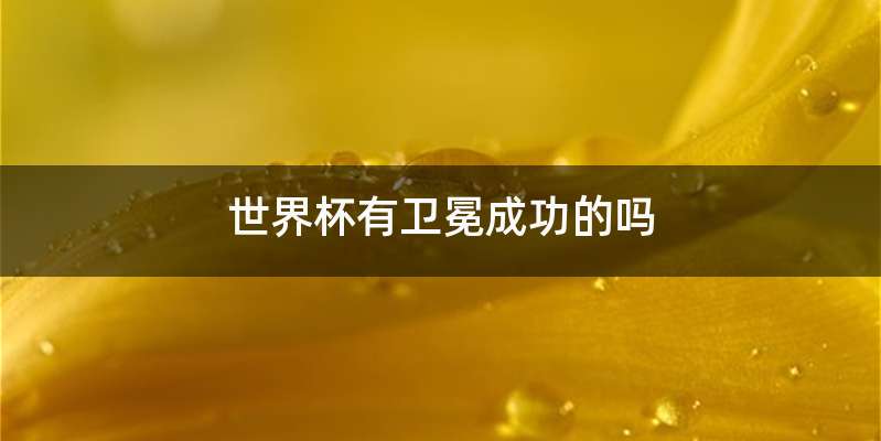 世界杯有卫冕成功的吗