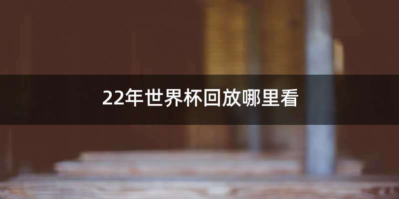 22年世界杯回放哪里看