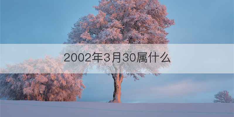 2002年3月30属什么