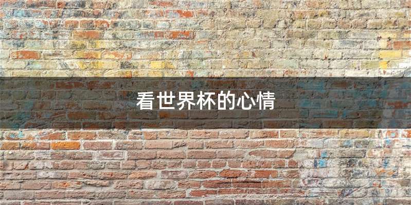 看世界杯的心情