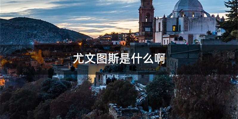 尤文图斯是什么啊