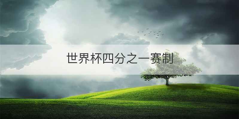 世界杯四分之一赛制