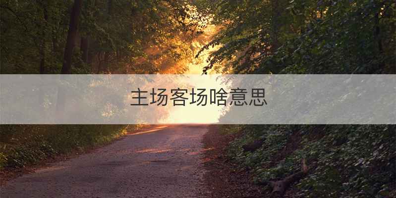 主场客场啥意思