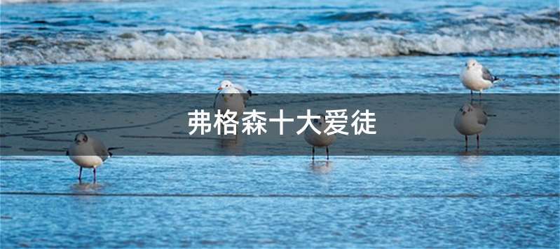 弗格森十大爱徒