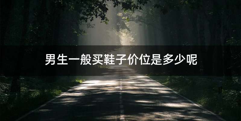 男生一般买鞋子价位是多少呢