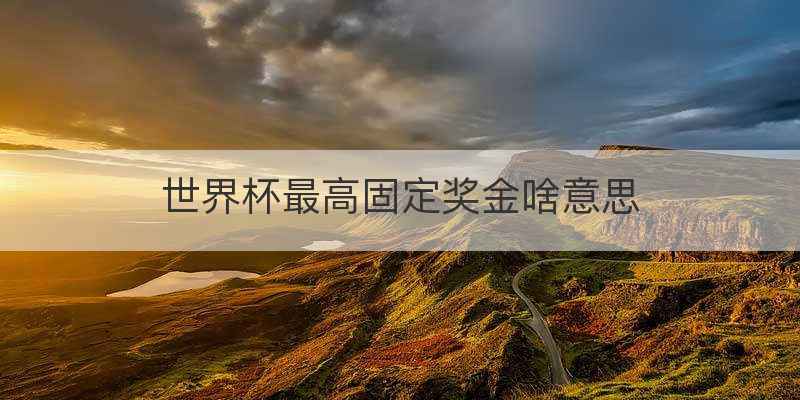 世界杯最高固定奖金啥意思
