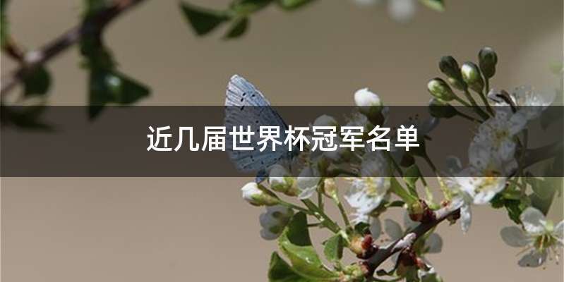 近几届世界杯冠军名单