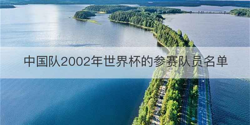 中国队2002年世界杯的参赛队员名单