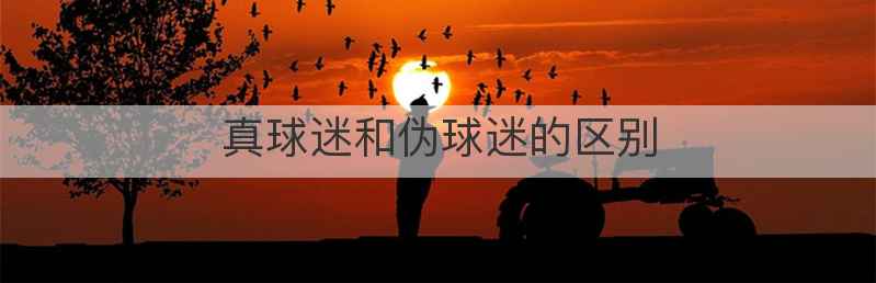 真球迷和伪球迷的区别