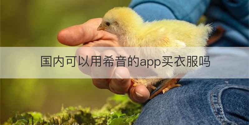 国内可以用希音的app买衣服吗