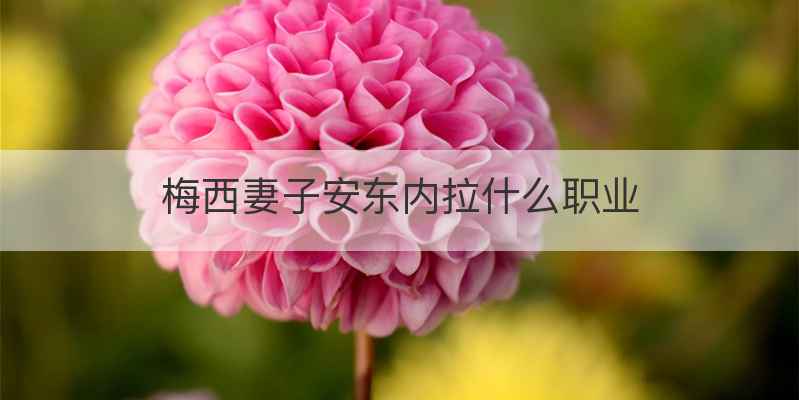 梅西妻子安东内拉什么职业