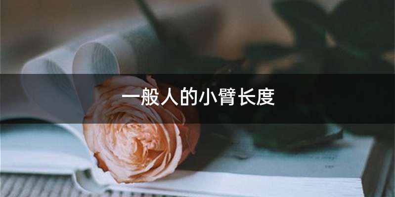 一般人的小臂长度