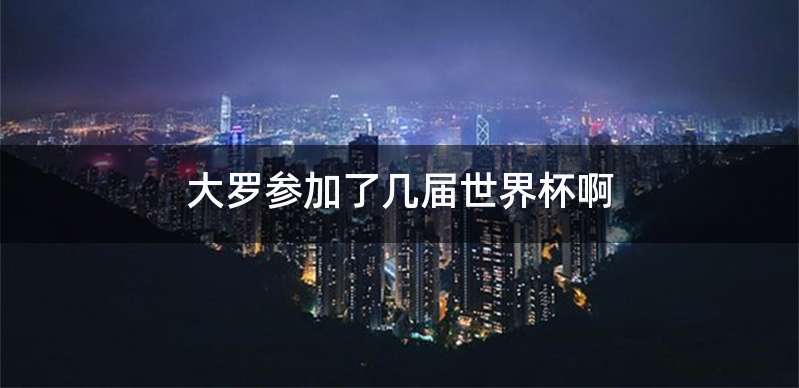 大罗参加了几届世界杯啊