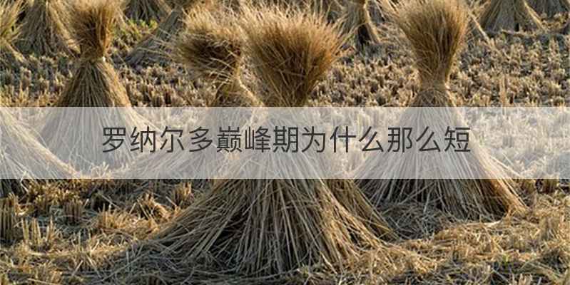 罗纳尔多巅峰期为什么那么短