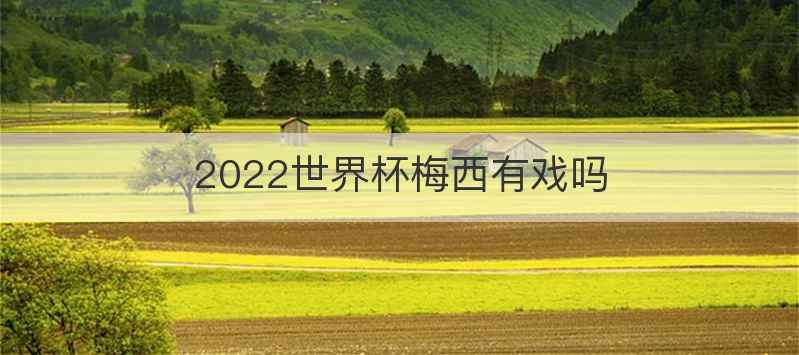 2022世界杯梅西有戏吗