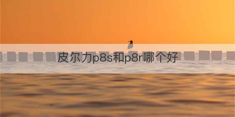 皮尔力p8s和p8r哪个好