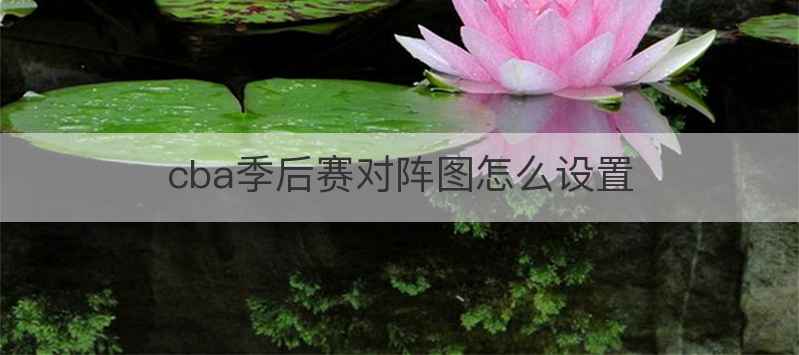 cba季后赛对阵图怎么设置