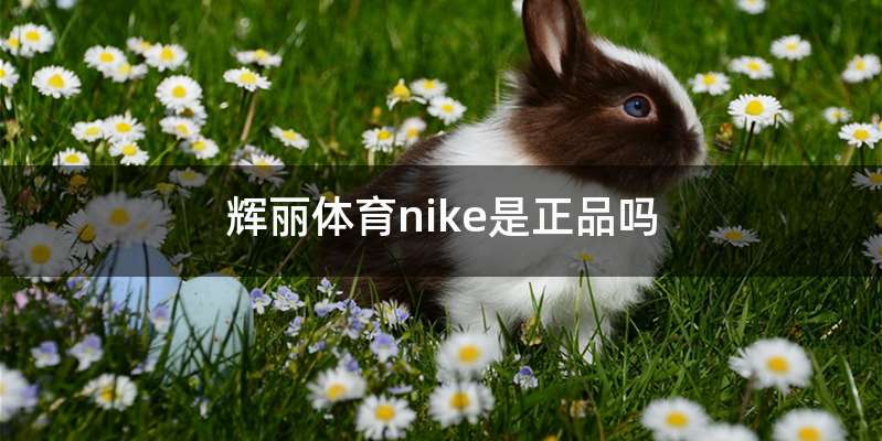 辉丽体育nike是正品吗
