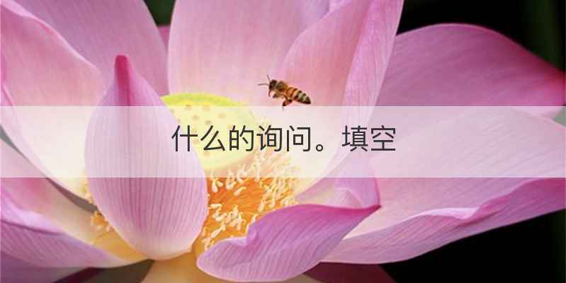 什么的询问。填空