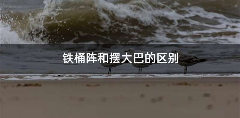 铁桶阵和摆大巴的区别