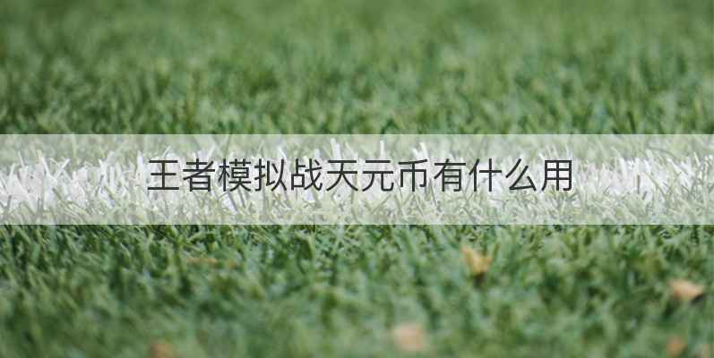 王者模拟战天元币有什么用