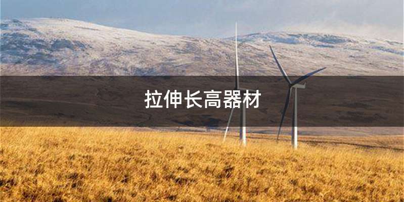 拉伸长高器材