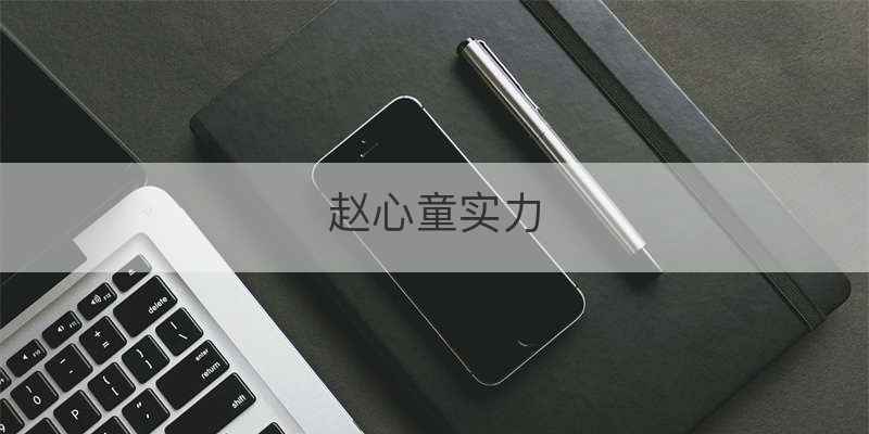 赵心童实力