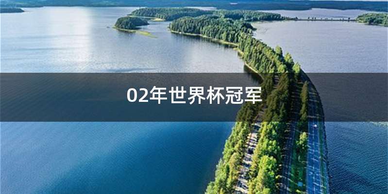 02年世界杯冠军