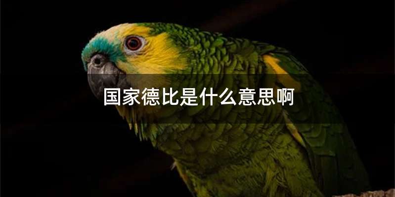 国家德比是什么意思啊