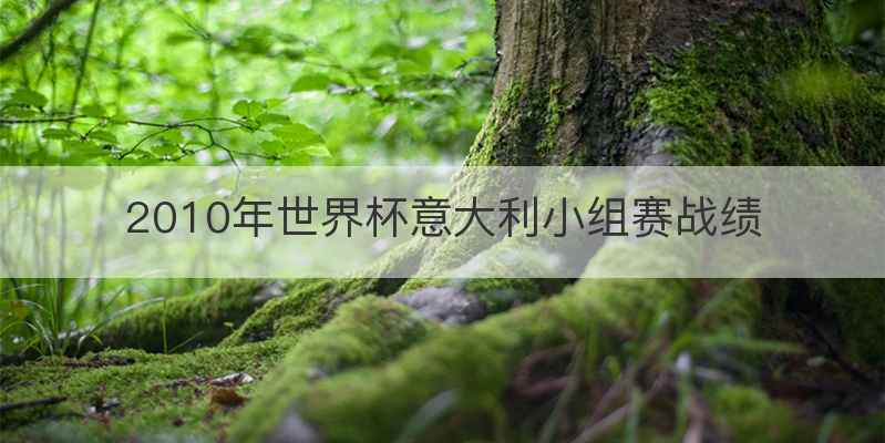 2010年世界杯意大利小组赛战绩